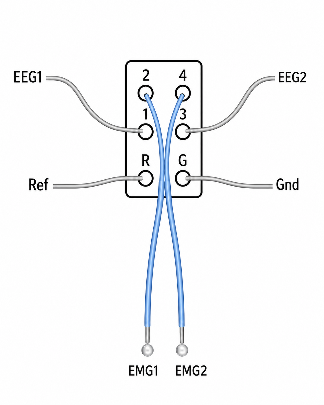 Mouse EEG/EMG Electrode (6-pin)